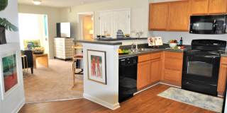 Alexandria Park Gallery 1