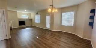 8277 Brilliant Pompon Place Gallery 8