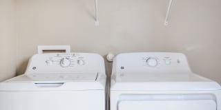 Roots at Waco Gallery 13