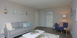 Arlington Apartments Gallery 6