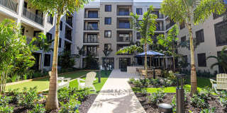 Bimini Square Gallery 1