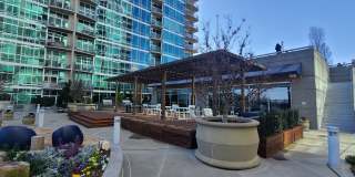 Modern Corner Unit 1BR Condo in Midtown with Skyline Views Gallery 14