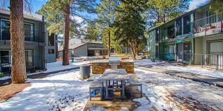 Legacy Pines Gallery 15