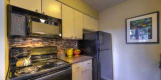 4032 Thousand Oaks Dr. Gallery 7