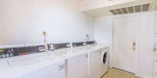 Aster on University Gallery 31