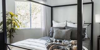 Axiom La Jolla Gallery 12