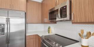 Avalon Lowry Gallery 12