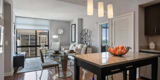 Ellis Bethesda Gallery 7