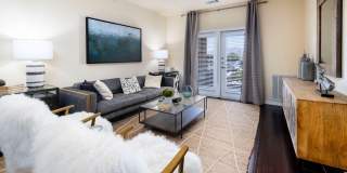 Sonoma Palms Gallery 4