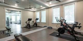 Novus Westshore Gallery 12