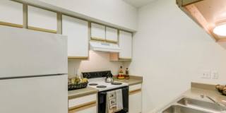 1704 Nelms Dr, #1018 Gallery 5