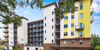 Consolidation Avenue Gallery 1