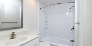 Radnor Crossing Gallery 31