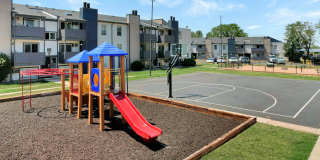 Ascent at Havana Gallery 19