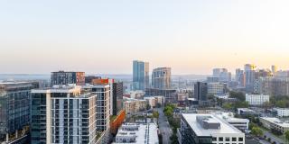 The Morris Gallery 44