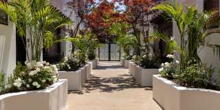 Vista Paradiso Gallery 8