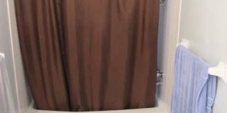 charming 1 bed 1 bath in the heart of saint paul! Gallery 11