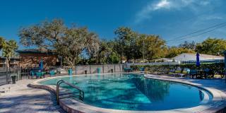 Watermarc Gallery 21