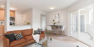 Hampton Point Gallery 8