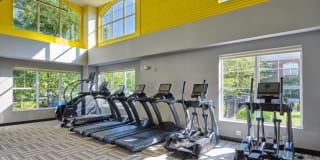 Halstead Norwalk Gallery 21