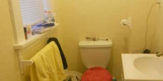 Great 3 Bed Available 9/1/26 Gallery 8