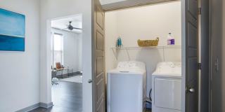 Thrive Argenta Gallery 73