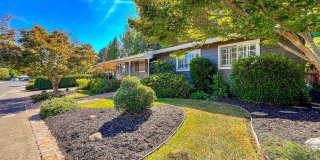 Beautifully Updated Three Bedroom Browns Valley Home Gallery 4