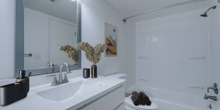 South Grove Apartments Gallery 10