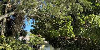 1946 Surfside Terrace Gallery 2