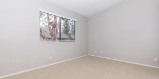 Mountain Springs Gallery 33