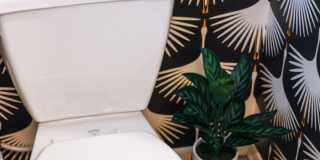 High-End, FULLY FURNISHED, Gated Community 4 Bedroom Home NEAR SAN TAN MALL Gallery 29
