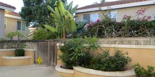 30061 Whitecap Gallery 23