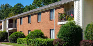 Willow Oaks Gallery 12