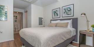 Vineyards Gallery 120