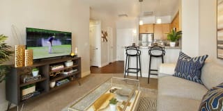 Liberty Crest Gallery 7