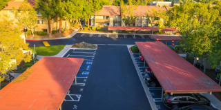 Citrus Place Gallery 66