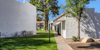 Tempe Vista Gallery 12