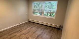 1038 Kingsland Lane Gallery 23
