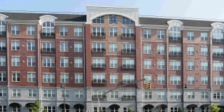 The Allure Mineola Gallery 31