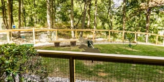 Avana Weymouth Gallery 28