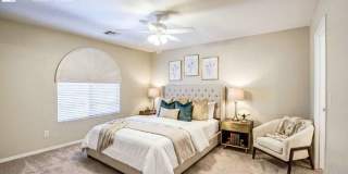 24347 North Oasis Boulevard Gallery 17