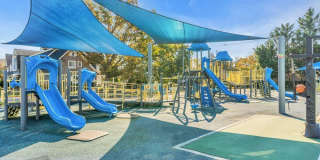 108 Neptune Place Gallery 49