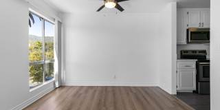 600 Olive Gallery 21