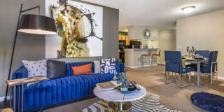 Avenue at Harbison Gallery 12