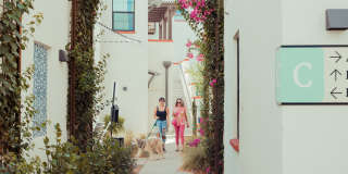 Culdesac Tempe Gallery 7