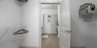 Meridian at the Port Gallery 61