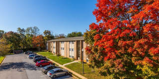 Tuscany Woods Gallery 13