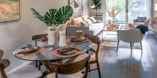 Violet on Virgil Violet on Virgil Gallery 2