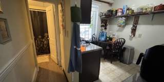 161 Kelton St. Gallery 7