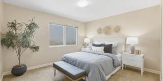 The Park Terrace Gallery 17